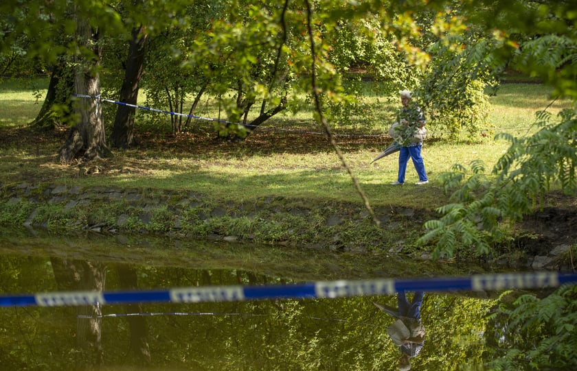 Katastrofa ekologiczna w parku Szczytnickim. Nie żyje mnóstwo ryb