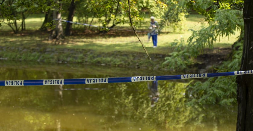 Katastrofa ekologiczna w parku Szczytnickim. Nie żyje mnóstwo ryb