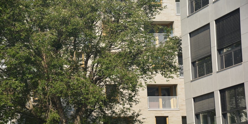 Braniborska 10E - Profit Development