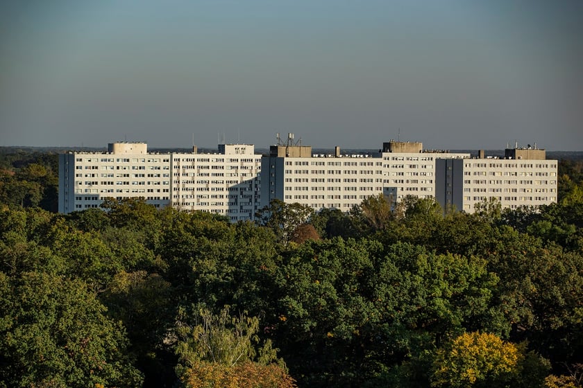 Wielka Wyspa Wrocław / Park Szczytnicki