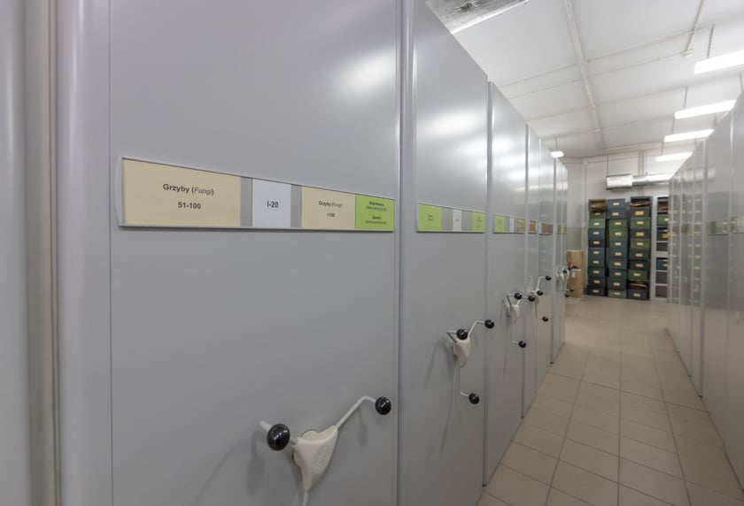 Herbarium. Muzeum Przyrodniczego Uniwersytetu Wrocławskiego