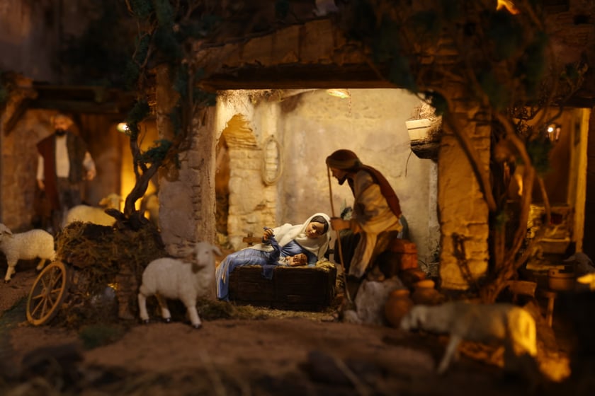 Szopka betlejemska w katedrze na Ostrowie Tumskim