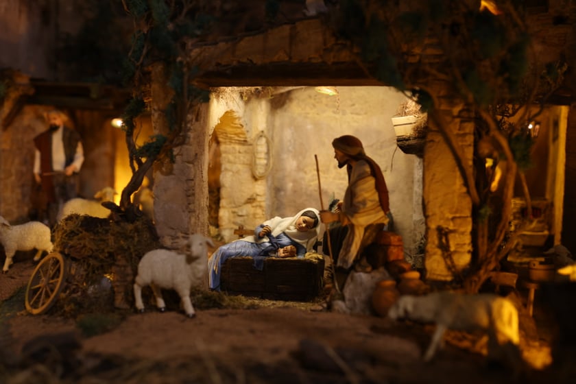 Szopka betlejemska w katedrze na Ostrowie Tumskim