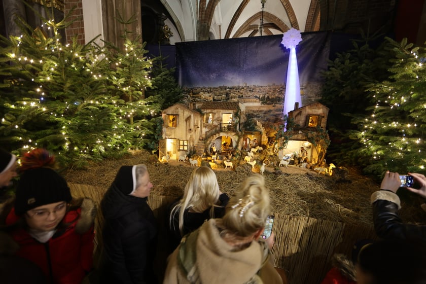 Szopka betlejemska w katedrze na Ostrowie Tumskim