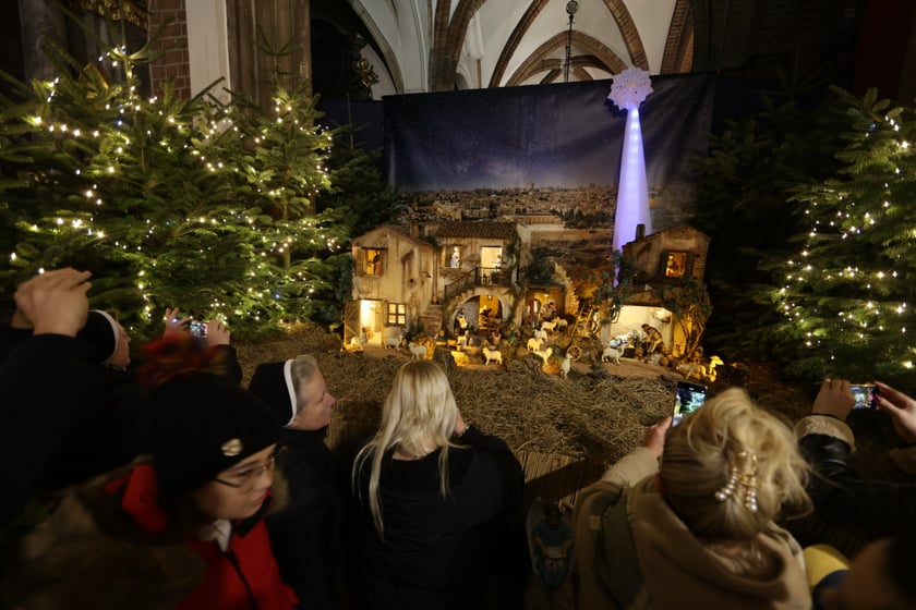 Szopka betlejemska w katedrze na Ostrowie Tumskim