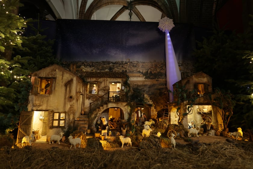 Szopka betlejemska w katedrze na Ostrowie Tumskim