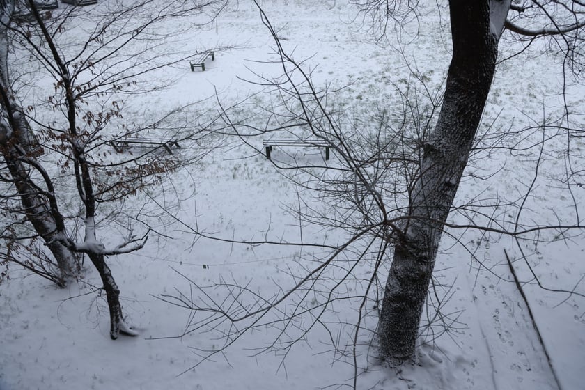 Na zdjęciach ulice we Wrocławiu w śniegu, 21.01.2023 r.