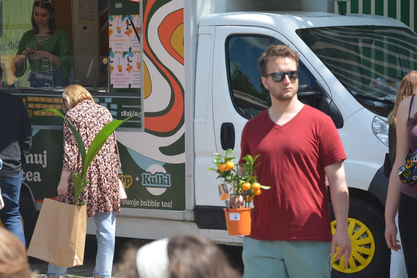 Festiwal Roślin i Festiwal Malarstwa w Czasoprzestrzeni