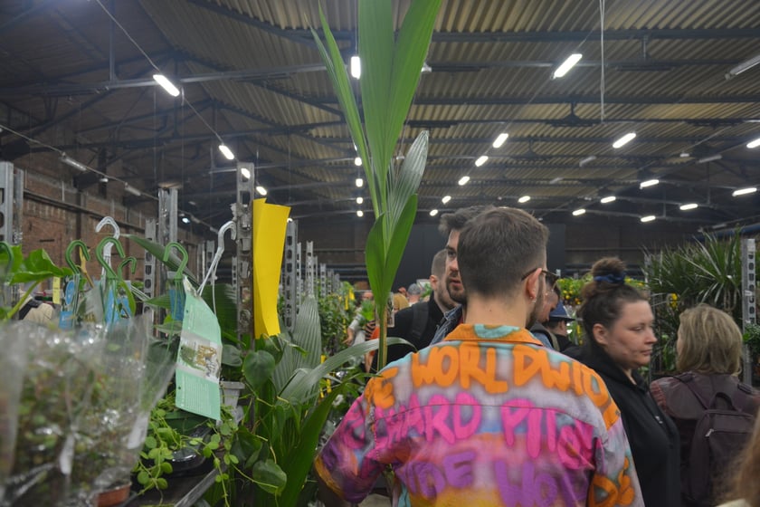 Festiwal Roślin i Festiwal Malarstwa w Czasoprzestrzeni