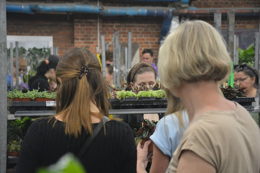 Festiwal Roślin i Festiwal Malarstwa w Czasoprzestrzeni