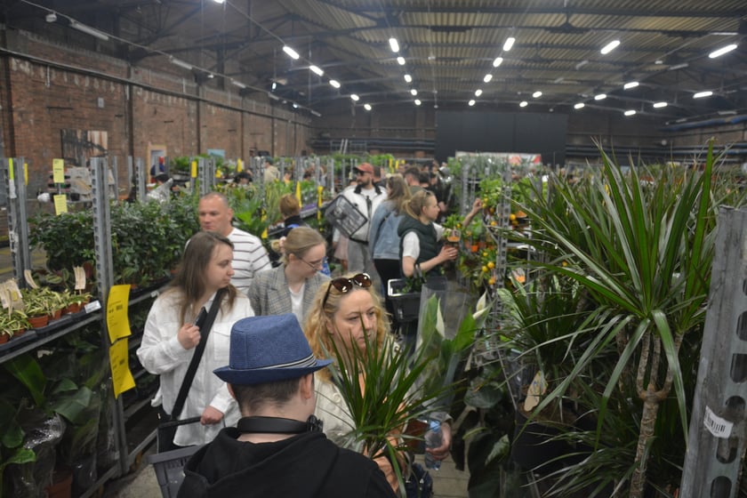 Festiwal Roślin i Festiwal Malarstwa w Czasoprzestrzeni