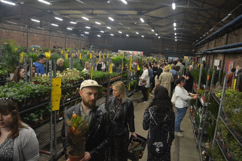 Festiwal Roślin i Festiwal Malarstwa w Czasoprzestrzeni