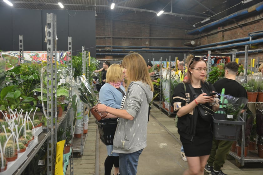 Festiwal Roślin i Festiwal Malarstwa w Czasoprzestrzeni