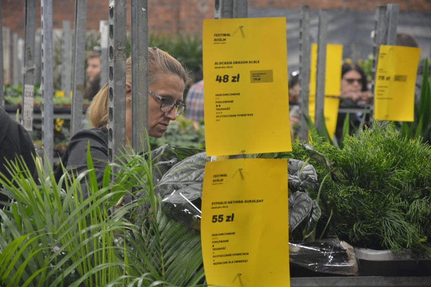 Festiwal Roślin i Festiwal Malarstwa w Czasoprzestrzeni