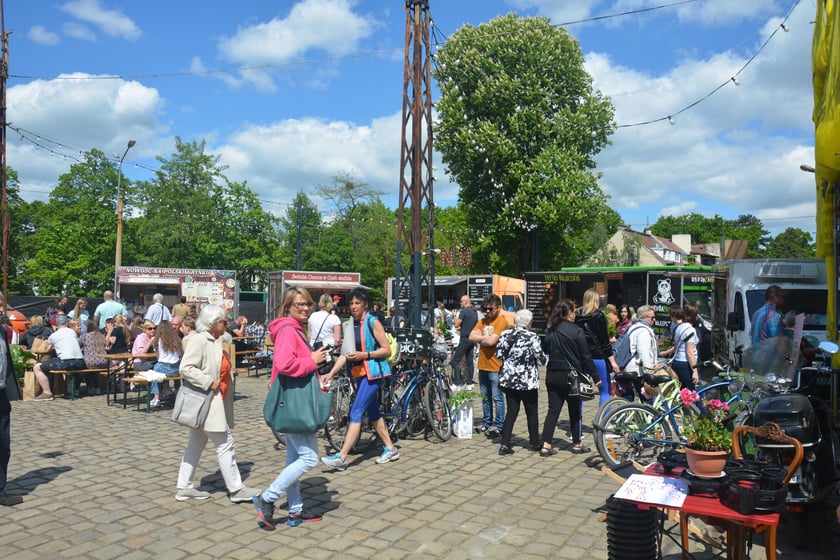Festiwal Roślin i Festiwal Malarstwa w Czasoprzestrzeni