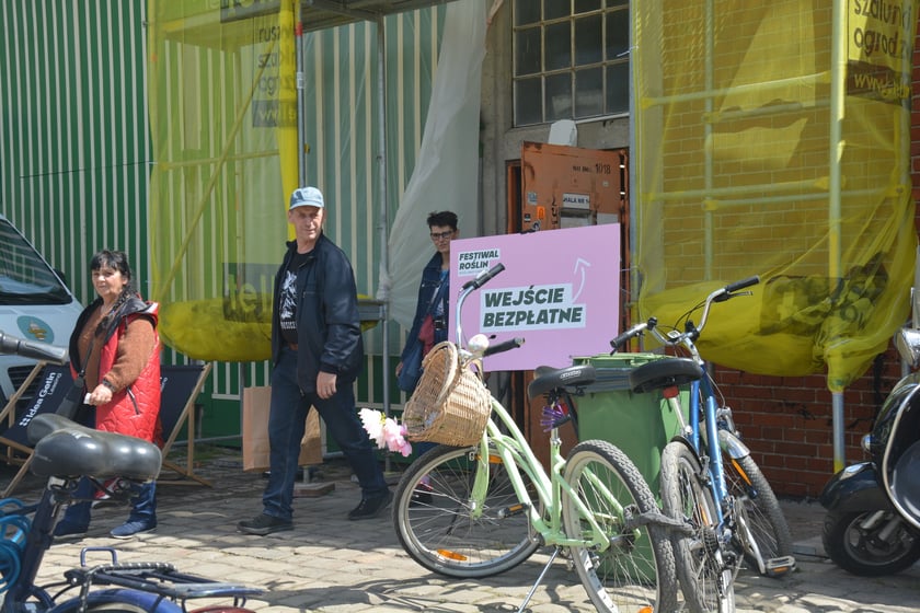 Festiwal Roślin i Festiwal Malarstwa w Czasoprzestrzeni