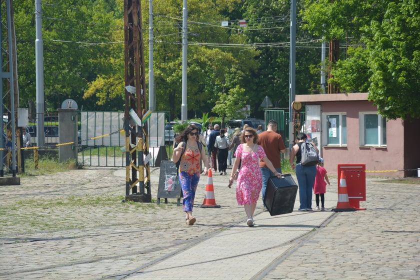 Festiwal Roślin i Festiwal Malarstwa w Czasoprzestrzeni