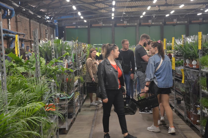Festiwal Roślin i Festiwal Malarstwa w Czasoprzestrzeni