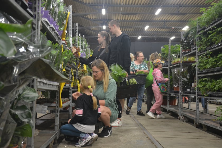 Festiwal Roślin i Festiwal Malarstwa w Czasoprzestrzeni