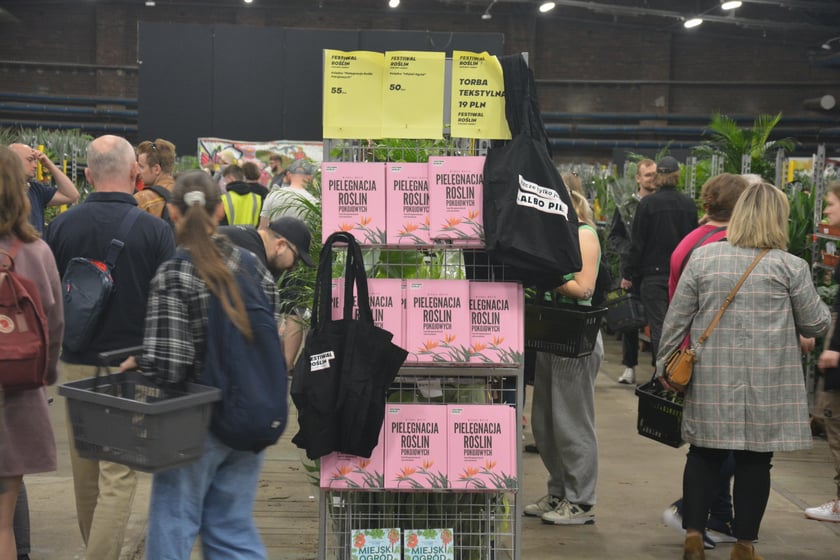 Festiwal Roślin i Festiwal Malarstwa w Czasoprzestrzeni