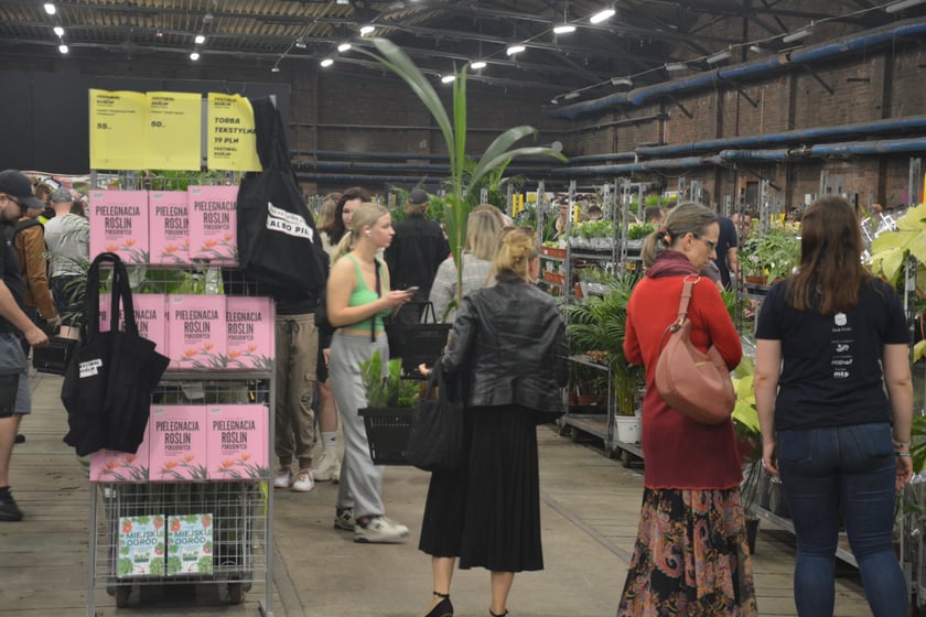 Festiwal Roślin i Festiwal Malarstwa w Czasoprzestrzeni