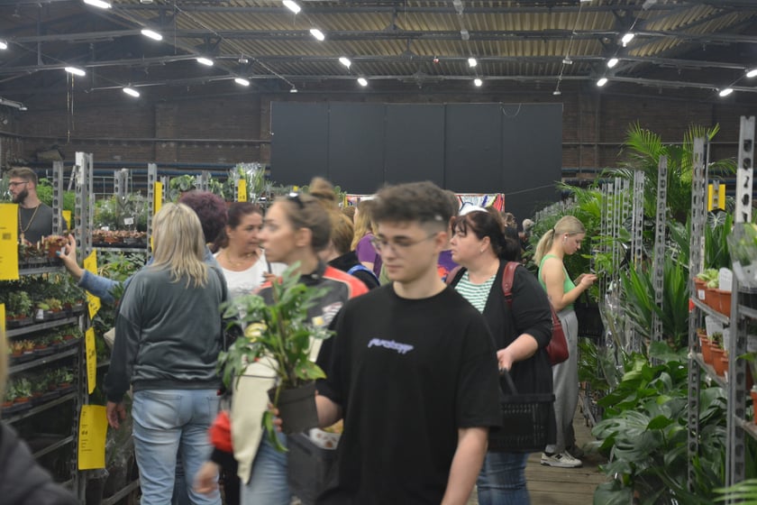 Festiwal Roślin i Festiwal Malarstwa w Czasoprzestrzeni