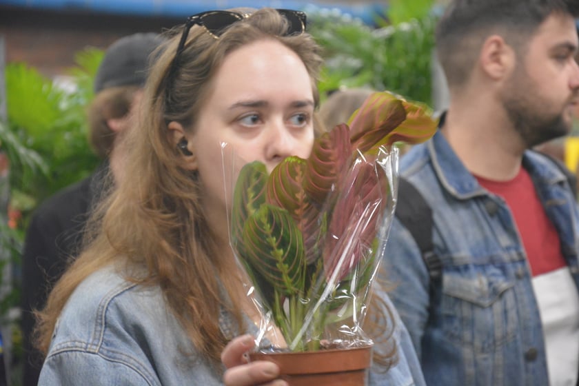 Festiwal Roślin i Festiwal Malarstwa w Czasoprzestrzeni