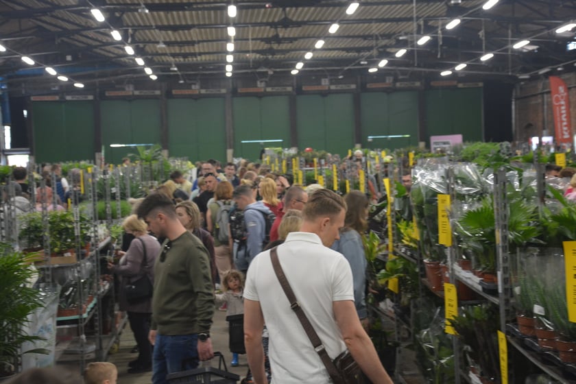 Festiwal Roślin i Festiwal Malarstwa w Czasoprzestrzeni