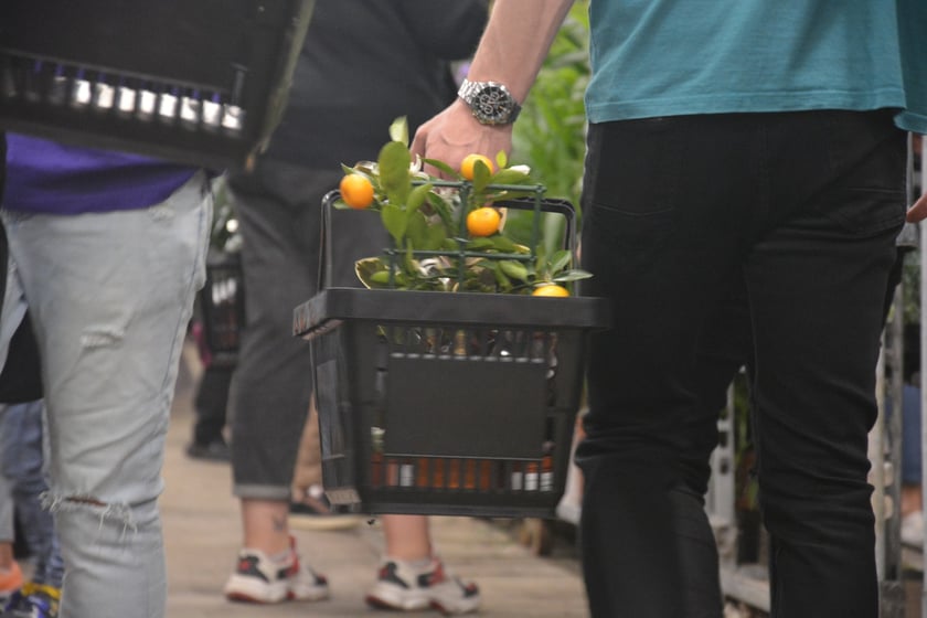 Festiwal Roślin i Festiwal Malarstwa w Czasoprzestrzeni