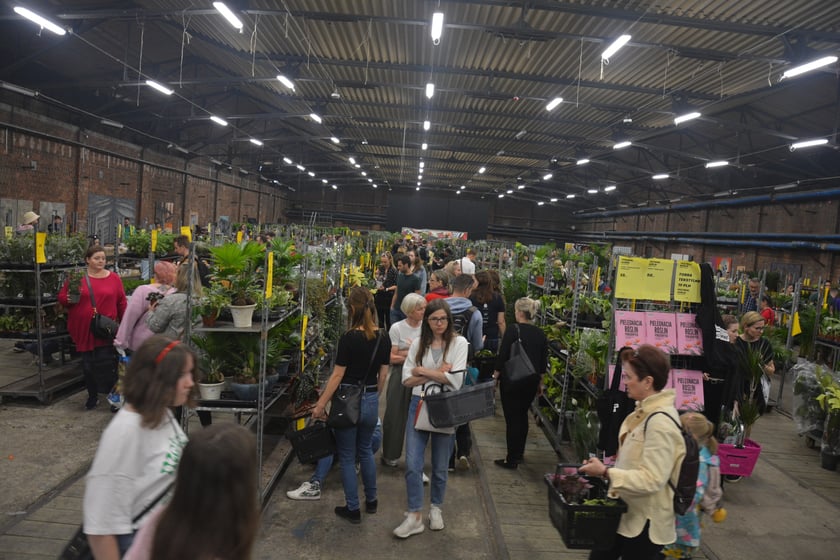Festiwal Roślin i Festiwal Malarstwa w Czasoprzestrzeni