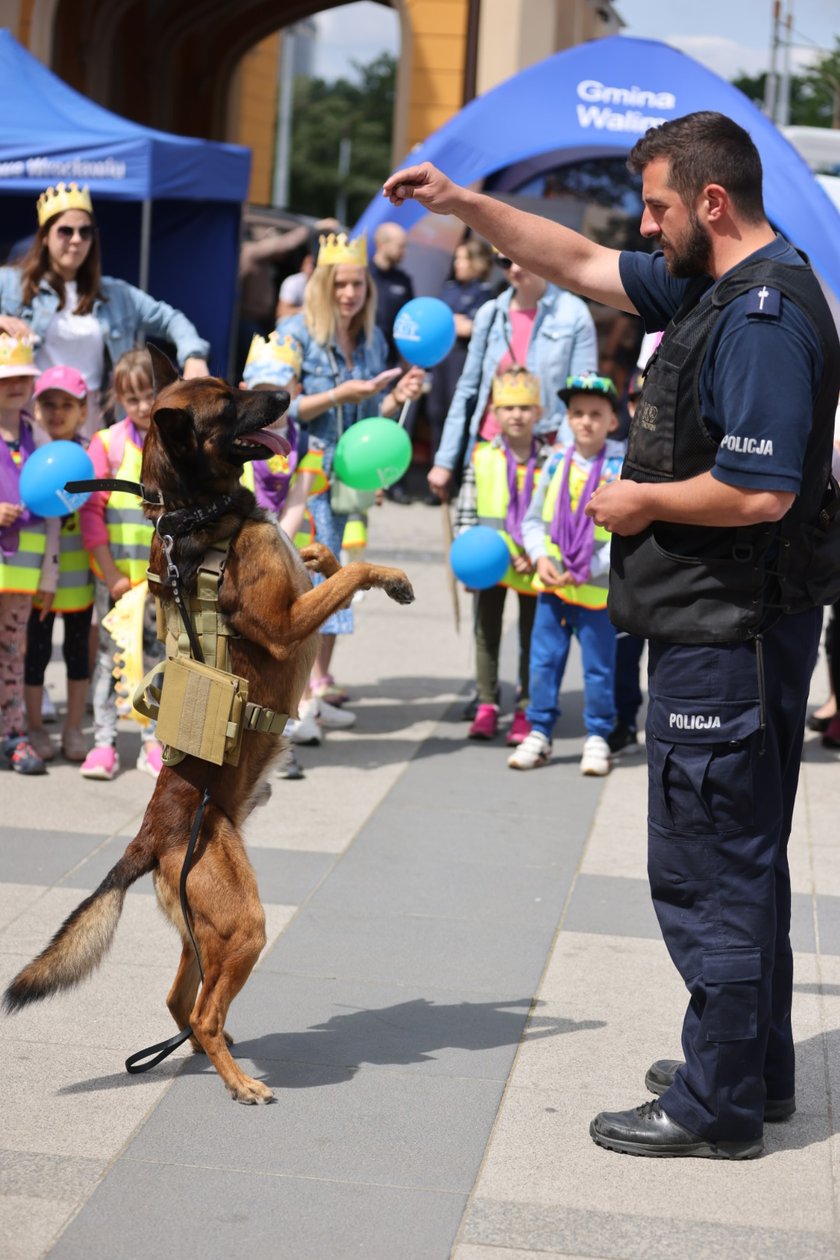 Dolnośląska Policja Dzieciom - impreza prewencyjna z okazji Dnia Dziecka