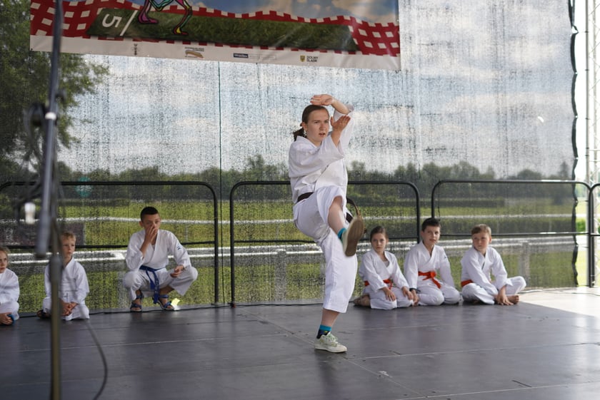 XI Piknik Olimpijski Wrocławia i Dolnego Śląska na Torze Wyścigów Konnych  - Partynice
