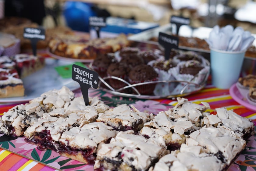 Na Piknik Rodzinny na torze wrotkarskim przyszło wielu wrocławian