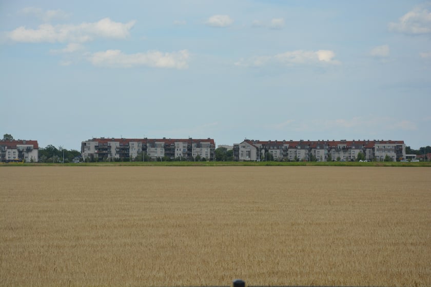 Piknik na boiskach przy szkole na Wojszycach, 23 lipca 2023