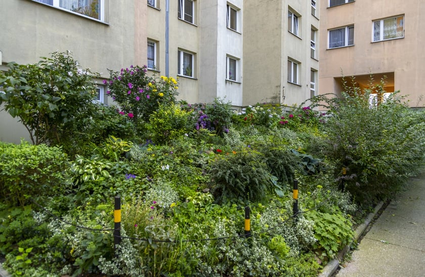 Ogródki na Gądowie Małym robią wrażenie!