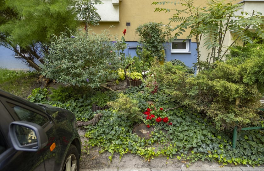 Ogródki na Gądowie Małym robią wrażenie!