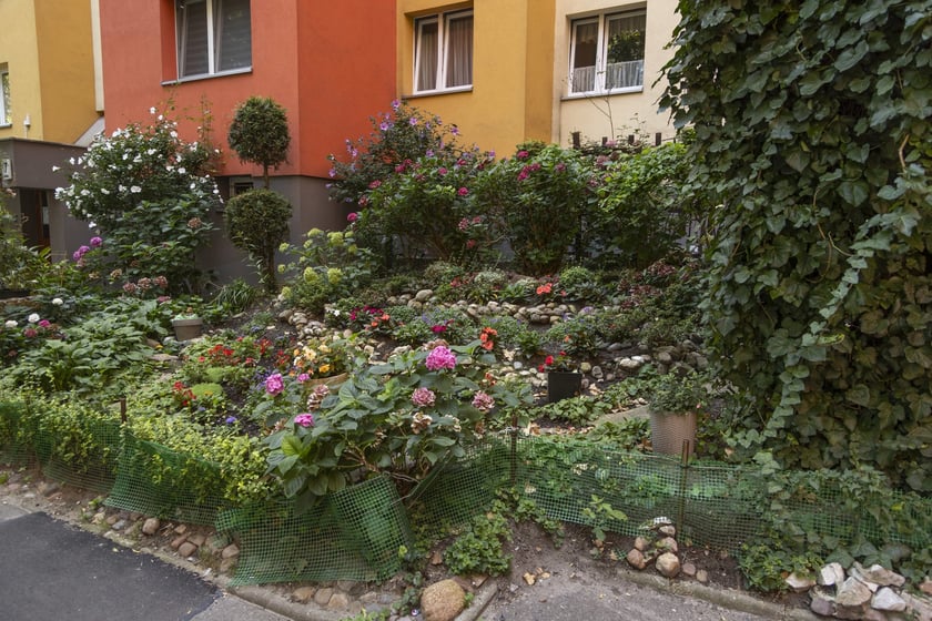 Ogródki na Gądowie Małym robią wrażenie!