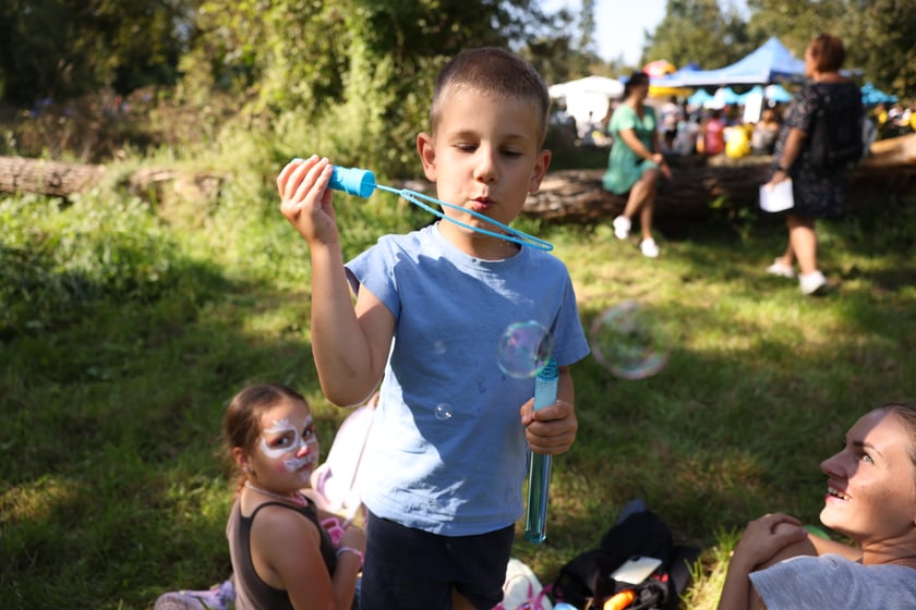 Piknik Grabiszyński