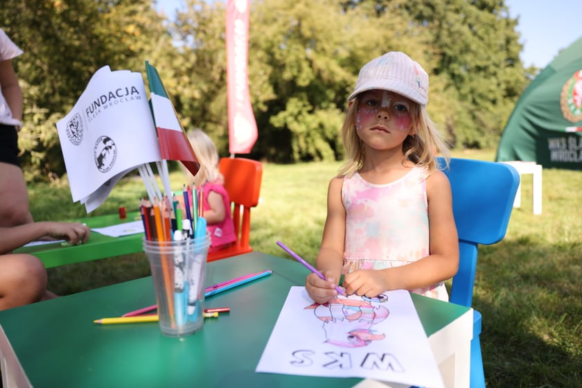 Piknik Grabiszyński