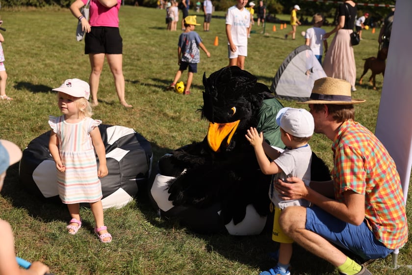 Piknik Grabiszyński