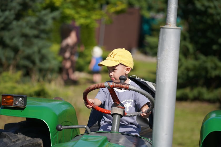 Dyniowa Farma we Wrocławiu