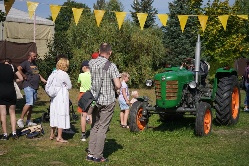 Dyniowa Farma we Wrocławiu