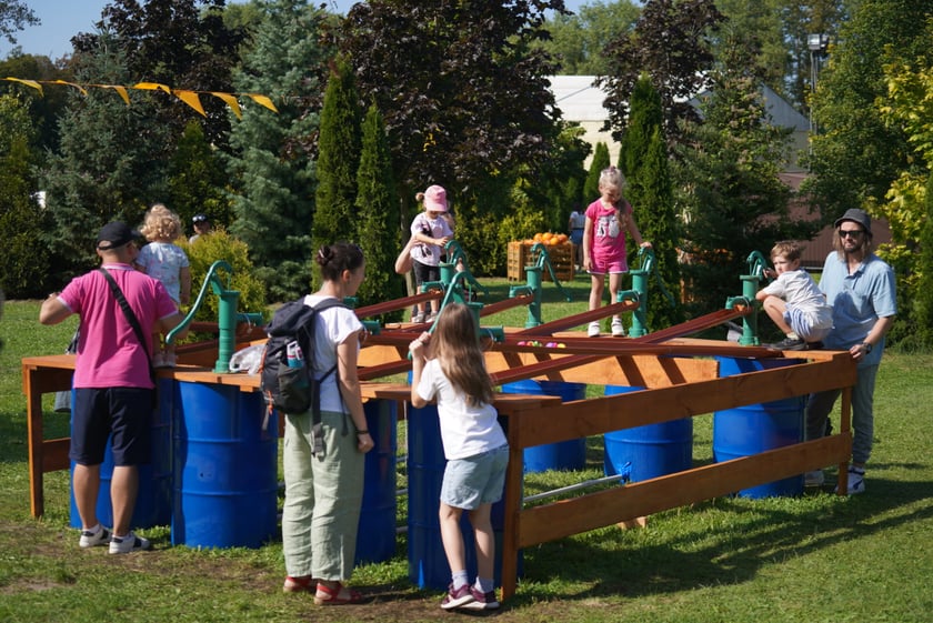 Dyniowa Farma we Wrocławiu