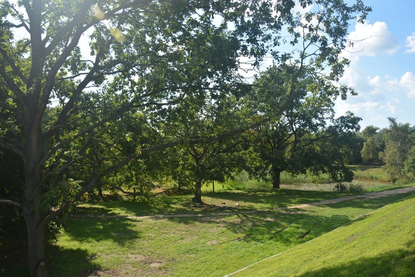 Piknik na Ślęzoujściu na Maślicach, 17 września 2023