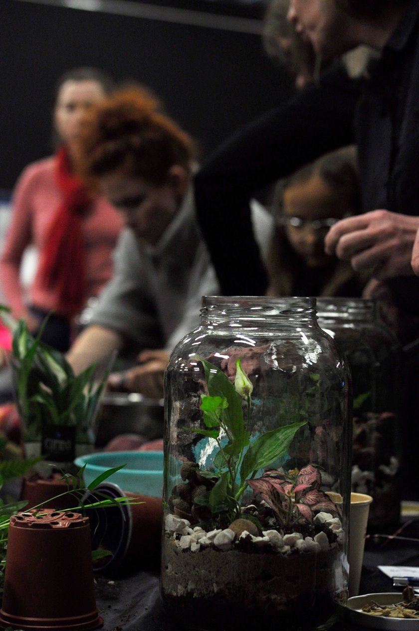 Jesienny piknik zmysłów w Centrum Historii Zajezdnia