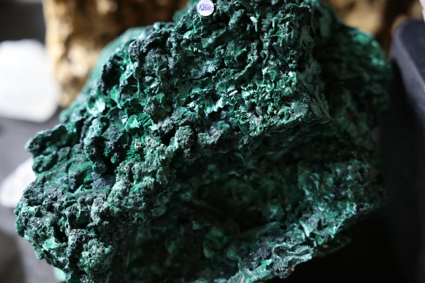 Giełda minerałów w NOT