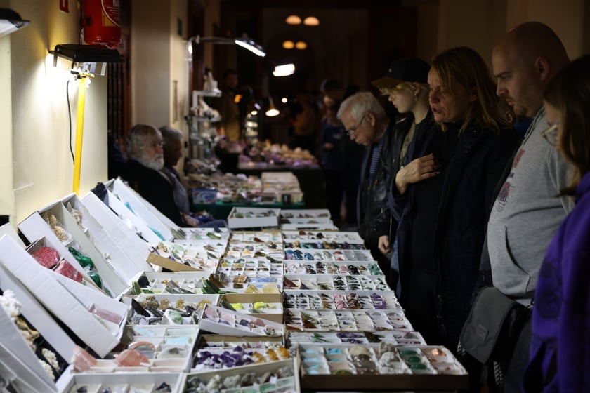 Giełda minerałów w NOT