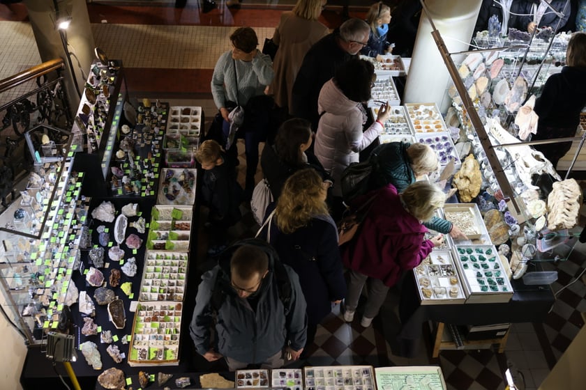 Giełda minerałów w NOT