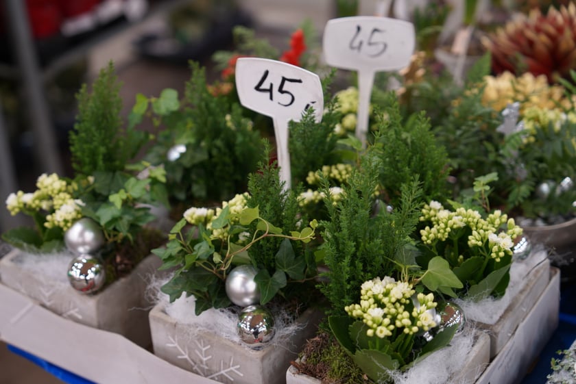 Festiwal Kupuj Świadomie w Czasoprzestrzeni (2 i 3 grudnia 2023)