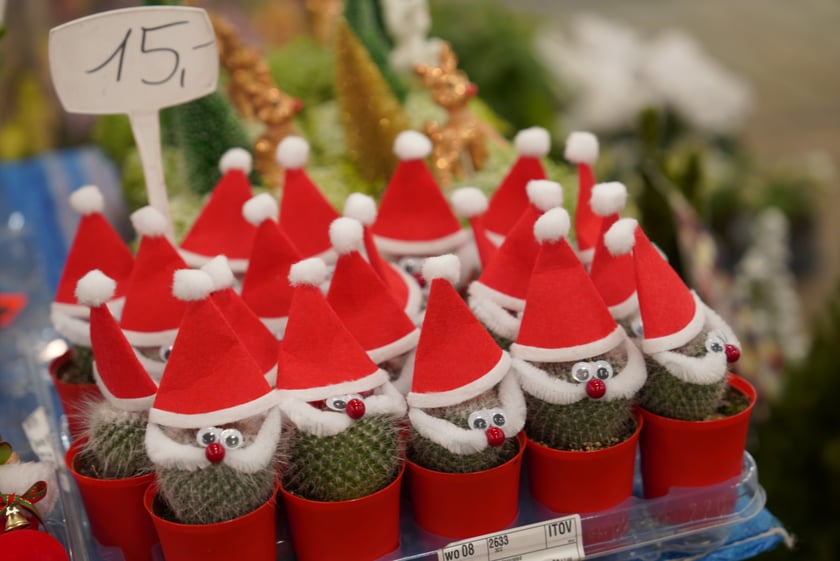 Festiwal Kupuj Świadomie w Czasoprzestrzeni (2 i 3 grudnia 2023)